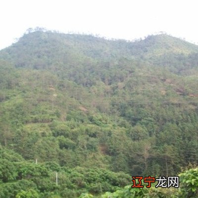 晚清重臣曾国藩有五个兄弟,生了3个儿子6个女儿