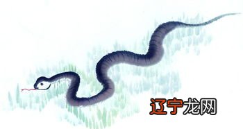 组图 天生就是有财之人,人生之中不会的三大生肖!