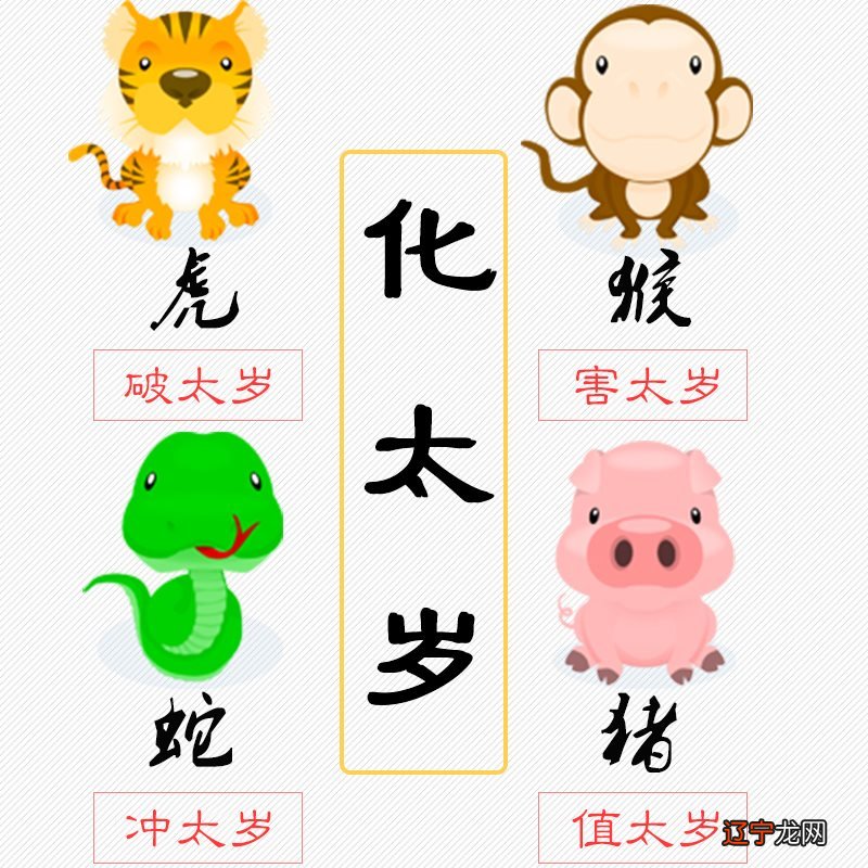 图 2022年属猪人适合穿什么颜色的衣服？