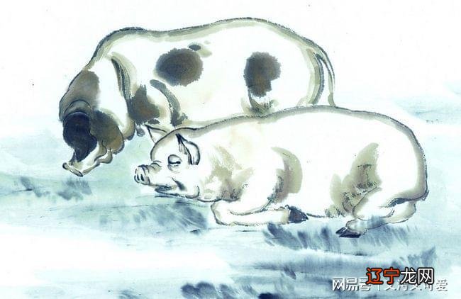 图 2022年属猪人适合穿什么颜色的衣服？