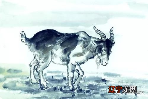 组图 属羊的人2020年运势及运程