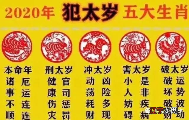 属马人今年每月运势_属鼠今年每月运势_出生月份看今年每月运势
