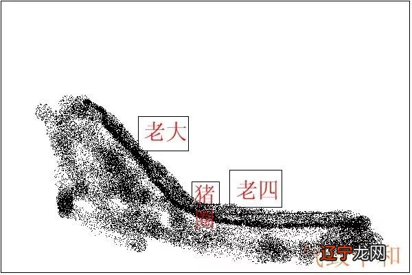 学风水,看风水,做风水_猪圈位置风水学_鱼缸摆放位置风水图