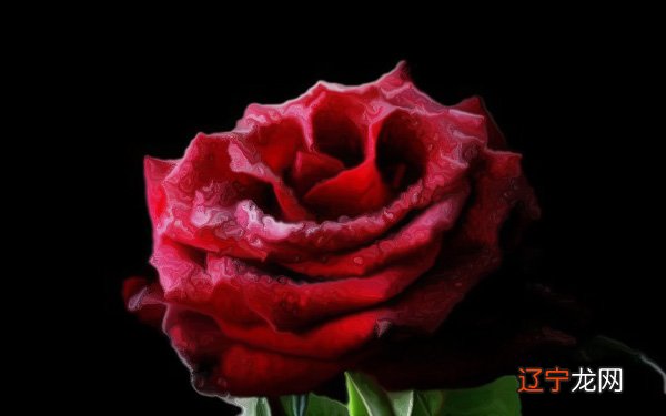 买房子有哪些风水问题的房子是一定不能买吧!