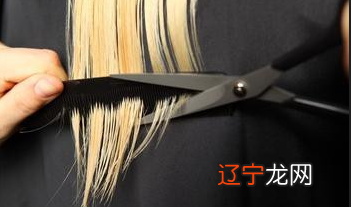 梦到剪头发是吉是凶,起名网周公解梦为你解答