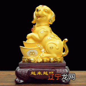 1982年属狗39岁是什么命,你知道这是怎么回事吗