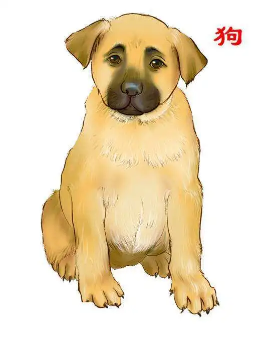 1982年属狗39岁是什么命,你知道这是怎么回事吗