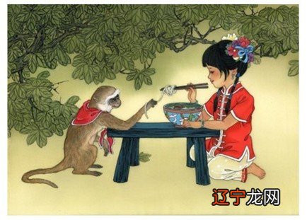 组图 一共十二生肖，每个生肖都有不同的特点！