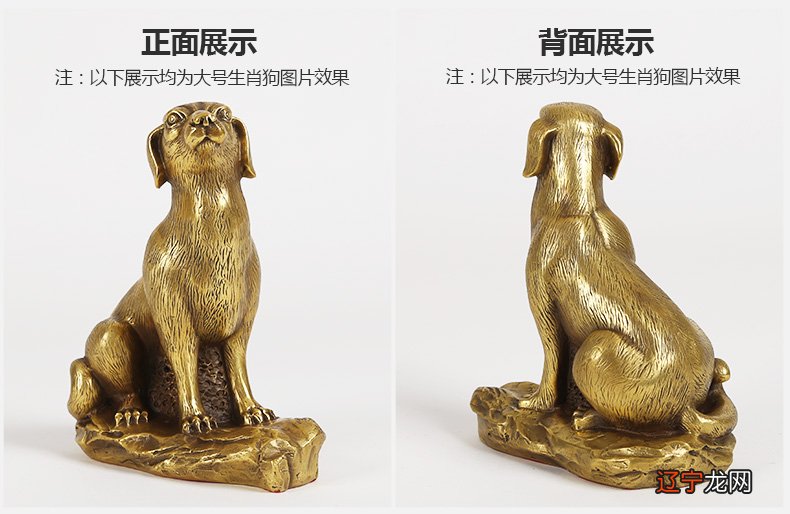 家里养了一只黑狗和一只白狗的风水从风水讲究