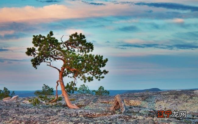 风水堂:命带桃花的人有哪些特征