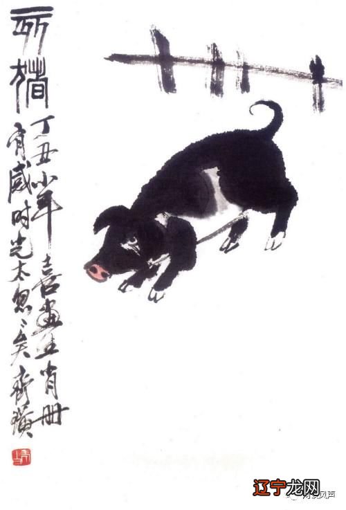 95年属猪24岁命运有什么恶运？女命男命如何？