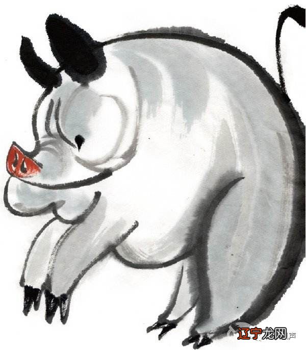 95年属猪24岁命运有什么恶运？女命男命如何？