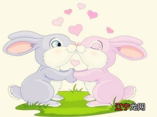 风水堂:什么是老鼠兔子不成婚