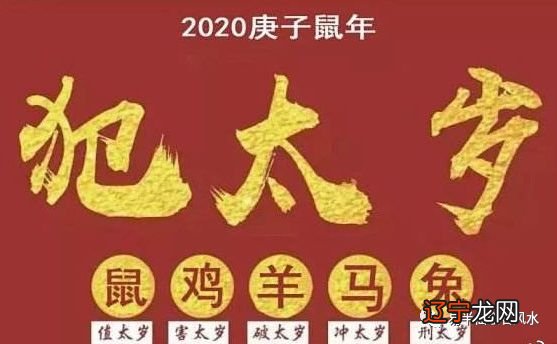 属兔人的出生年份是什么意思?2020年什么生肖犯太岁?