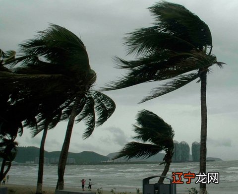 做梦，梦到海里大风大浪好不好？是什么意思呢呢？