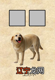 道真讲“风水”（八）