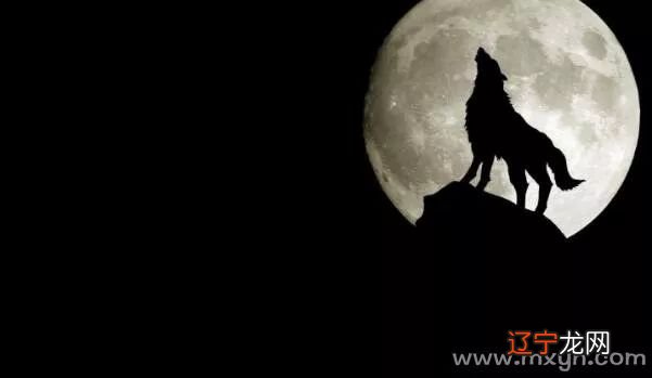 风水堂:梦见打狼,预示着什么