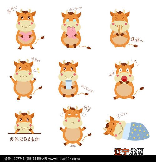 组图 77年8月蛇是什么命属蛇运程