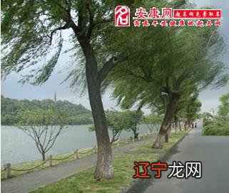 有时候风水堂：女人梦见大风大浪的梦境解析