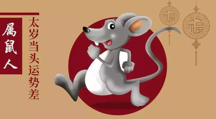 组图 2020年12属相怎么放，十二生肖岁数年龄表？