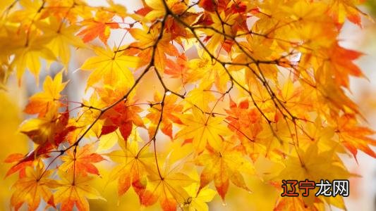 生于风水堂:生于春天时的一生吉凶祸福生于