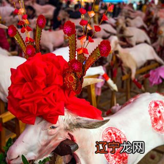 你知道作文怎样写才规范吗?整理的7篇