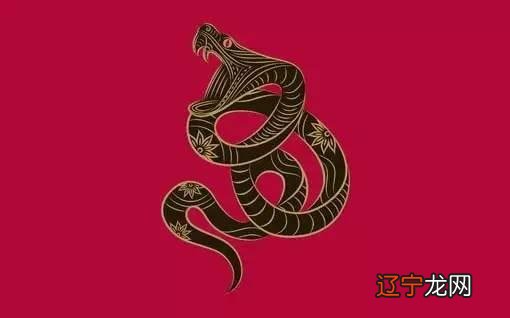 组图 2022年两喜缠身,到底是哪两喜呢?