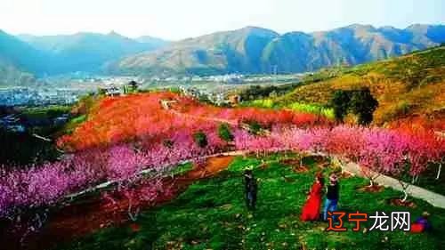 广告「爱彼迎」全球民宿短租公寓预订平台×渭南桃花源民俗文化园