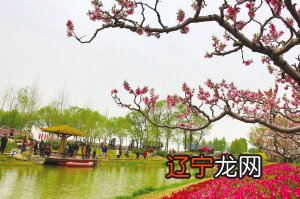 广告「爱彼迎」全球民宿短租公寓预订平台×渭南桃花源民俗文化园