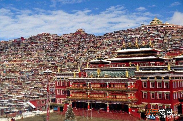 《敬畏因果》系列专栏第35章103岁梦参老和尚