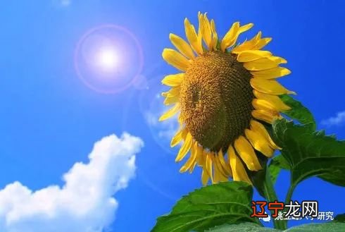 风水堂:八字五行水木两旺的人