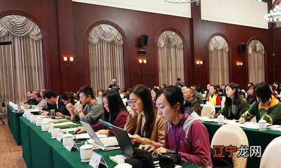 组图 “中国年画创作营”在四川省绵竹市拉开序幕拉开序幕