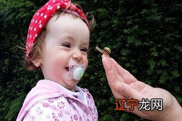 生肖属狗：子孙运配对，从子孙运气看生肖配对