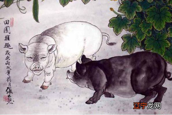 属那只生肖适合住几楼_属羊的住14楼好不好_住5楼适合多大年龄