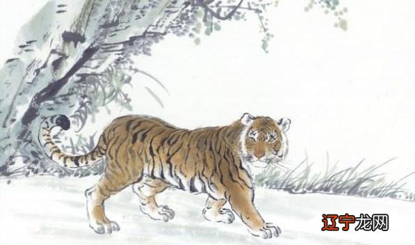 属那只生肖适合住几楼_属羊的住14楼好不好_住5楼适合多大年龄