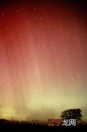 2010-12 吉赛儿2010年12星座整体运势