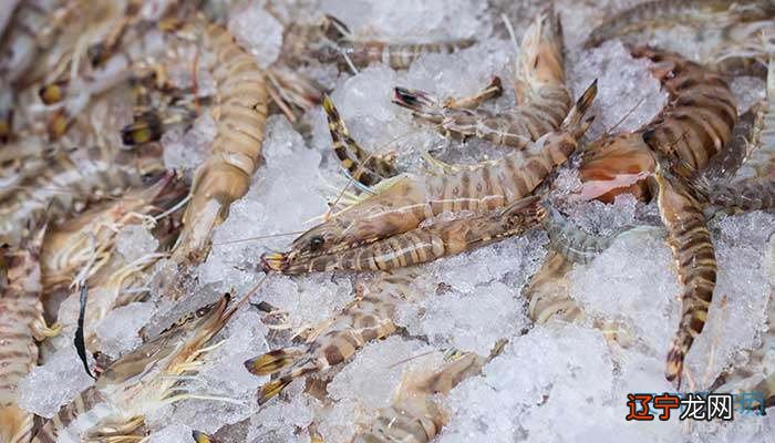 要是风水堂：要是做梦梦见虾甚至是呢