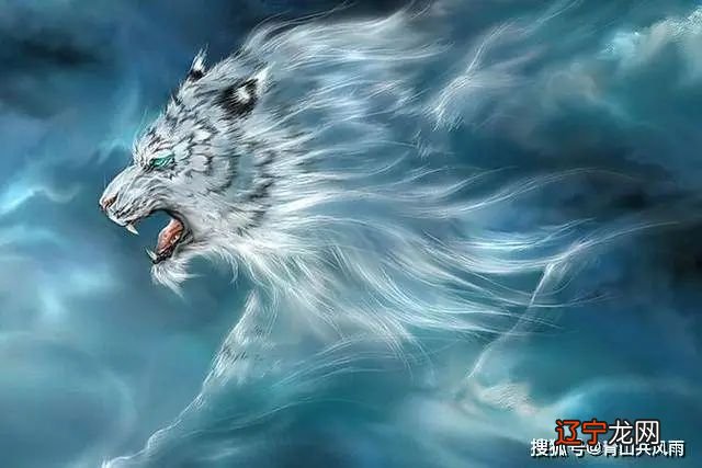 属虎与属鸡的合财吗属相鸡在一起是不是有财运