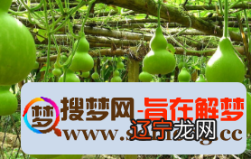 风水堂:梦见葫芦是什么意思有什么预兆