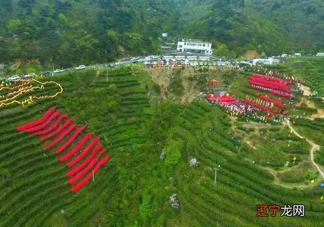 2017中华茶祖节·南岳祭茶大典在南岳大庙隆重举行隆重举行