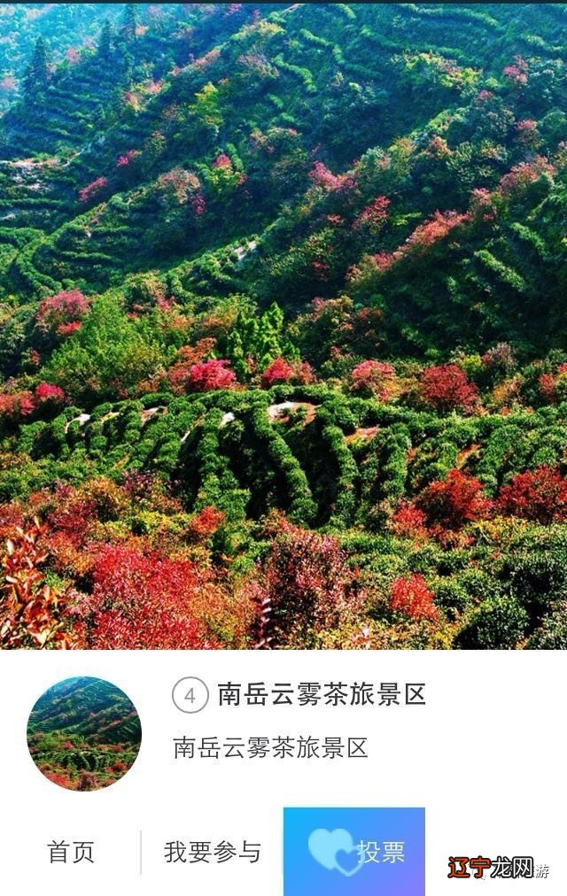 2017中华茶祖节·南岳祭茶大典在南岳大庙隆重举行隆重举行