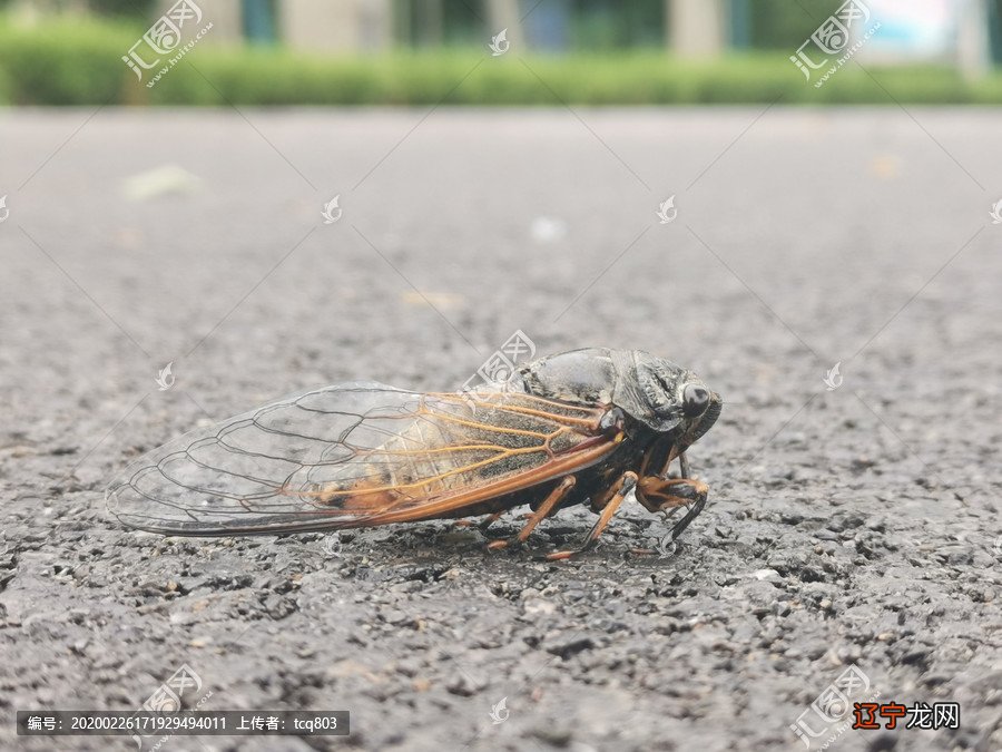 术数十三邀世界还是这个世界,不同的只是我们的视角而已
