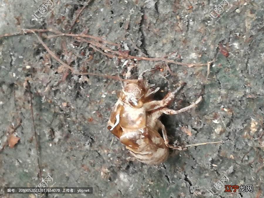 术数十三邀世界还是这个世界,不同的只是我们的视角而已