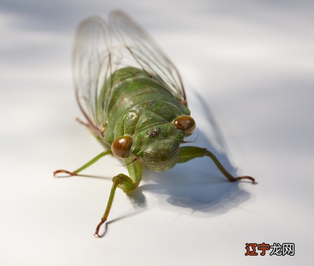 术数十三邀世界还是这个世界,不同的只是我们的视角而已