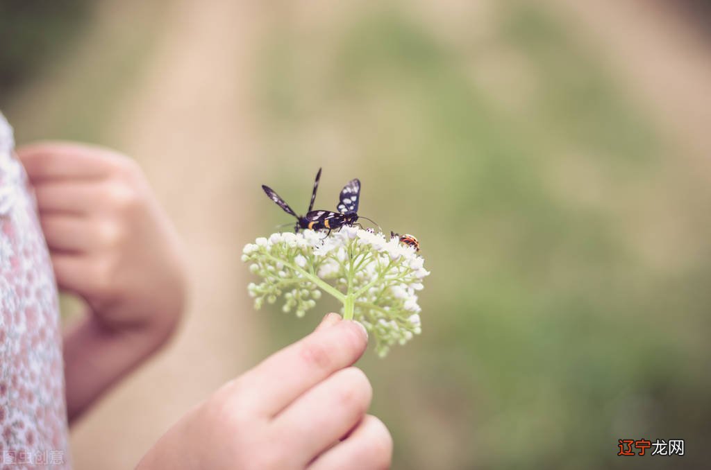 爱情的模样你见过吗?是心动还是爱呢?时间会证明一切!