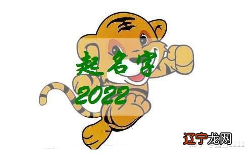 吴姓宝宝四字取名大全男孩名字大全_宝宝取名大全龙宝宝_2022宝宝取名字大全