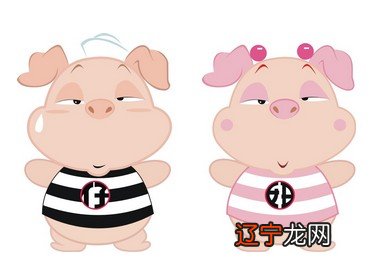 属龙和猪相配吗?在一起合不合适?看看