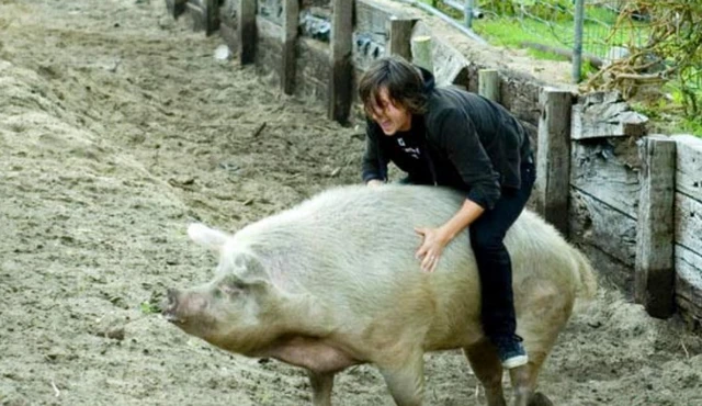 属龙和猪相配吗?在一起合不合适?看看