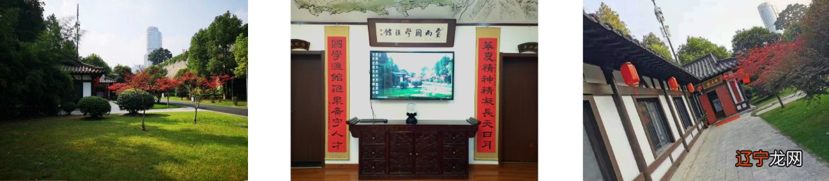 意大利语培训排行_周易培训排行_钢琴培训品牌排行