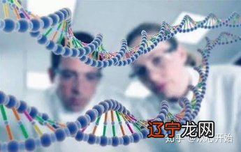 图 基因占卜,真的能够很快剧透人生吗?